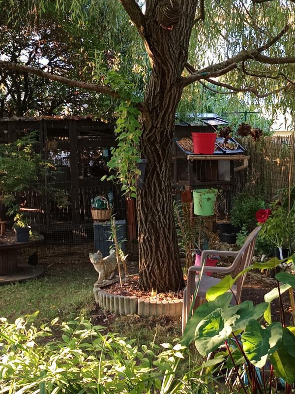 Maison - 86 m² - 4 pièces