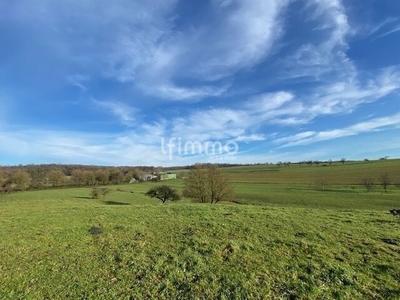 Terrain - 1 081 m²