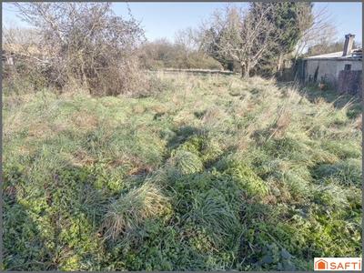 Terrain - 45 800 m²