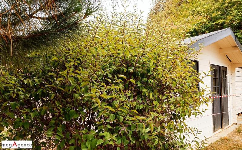 Maison de campagne - 101 m² - 6 pièces