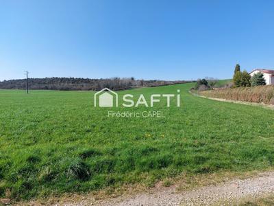 Terrain - 6 843 m²