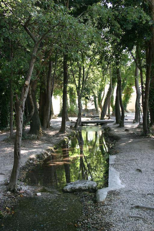 Bastidon - 33 m² - 2 pièces