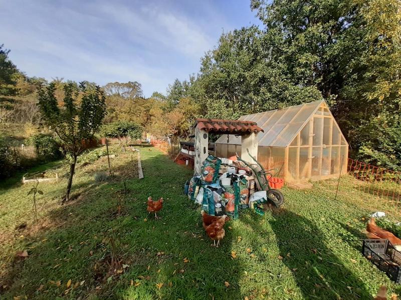 Maison de maîtres - 278 m² - 9 pièces