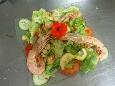 Les bons enfants de bonaguil