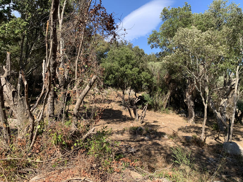 Villa - 77 m² - 4 pièces