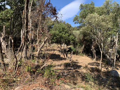 Villa - 77 m² - 4 pièces