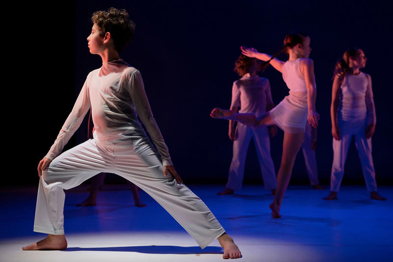 Josette Baïz/Jean-Claude Gallotta - Ulysse