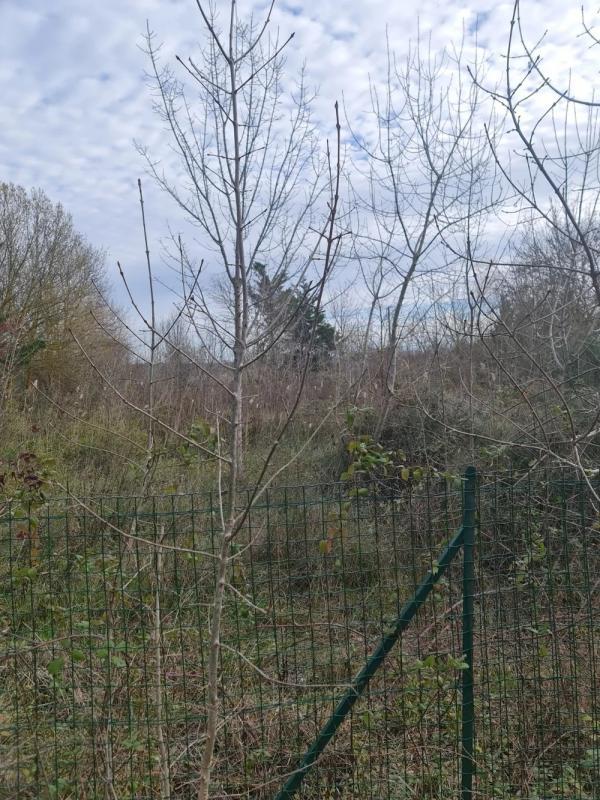 Terrain de loisirs - 1 065 m²