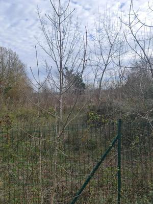 Terrain de loisirs - 1 065 m²