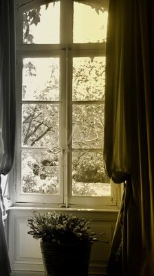 Manoir - 600 m² - 16 pièces