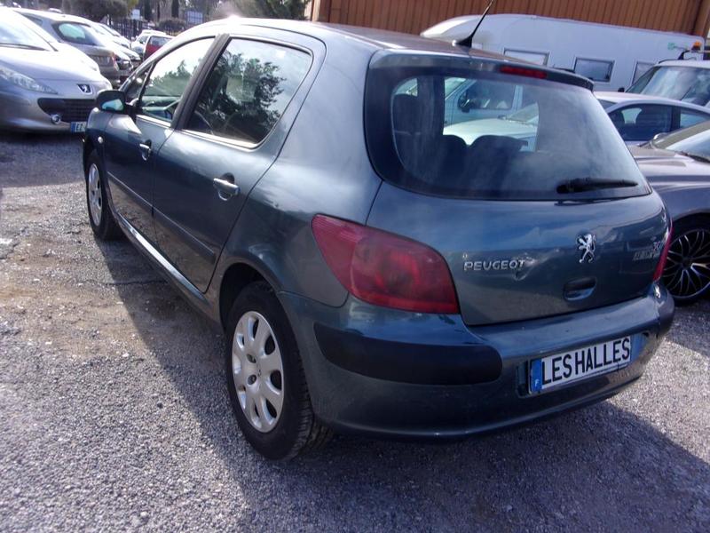 Peugeot 307 2,0 Hdi Xt 90cv