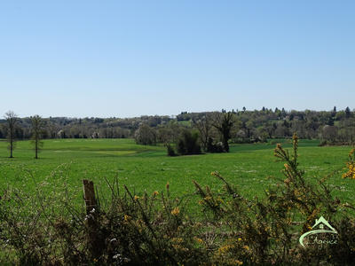Maison traditionnelle - 445 m² - 10 pièces