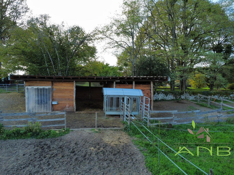 Manoir - 230 m² - 8 pièces