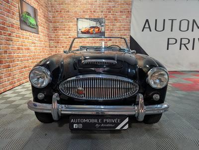 Austin-Healey 3000 Mk II Roadster