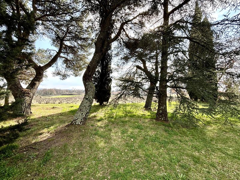 Propriété - 215 m² - 7 pièces