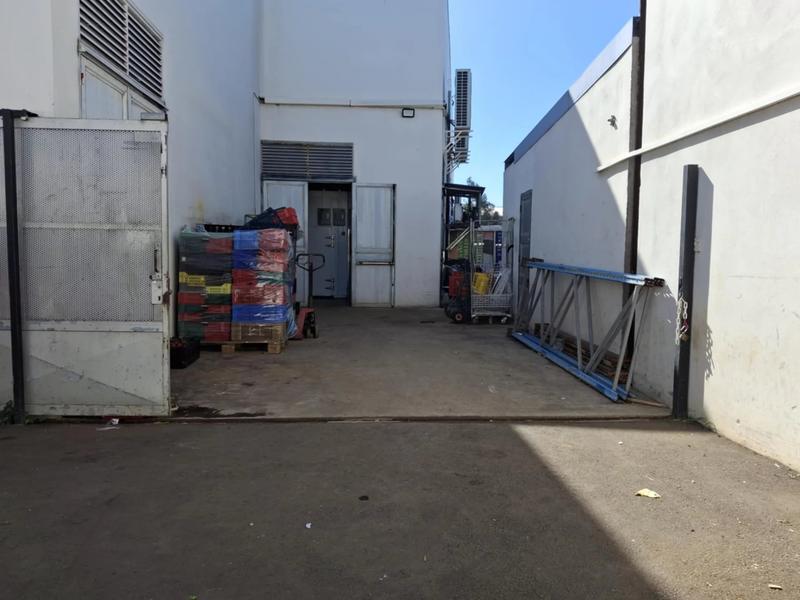 Magasins - 339 m² - 7 pièces