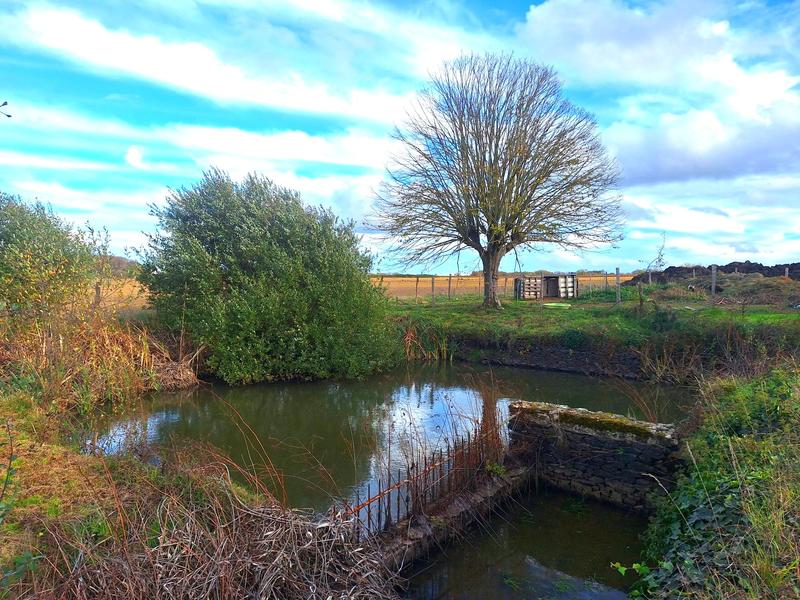 Bastide - 257 m² - 14 pièces