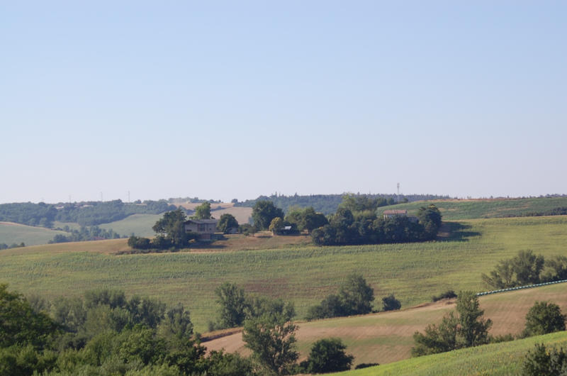 Local d'activités - 126 592 m²