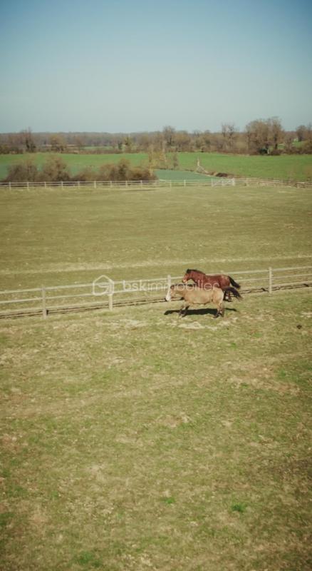Propriété - 3 000 m² - 30 pièces