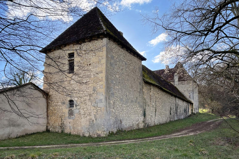 Château - 700 m² - 14 pièces