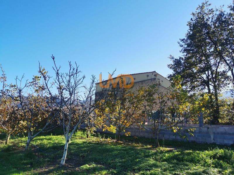 Mas - 288 m² - 5 pièces