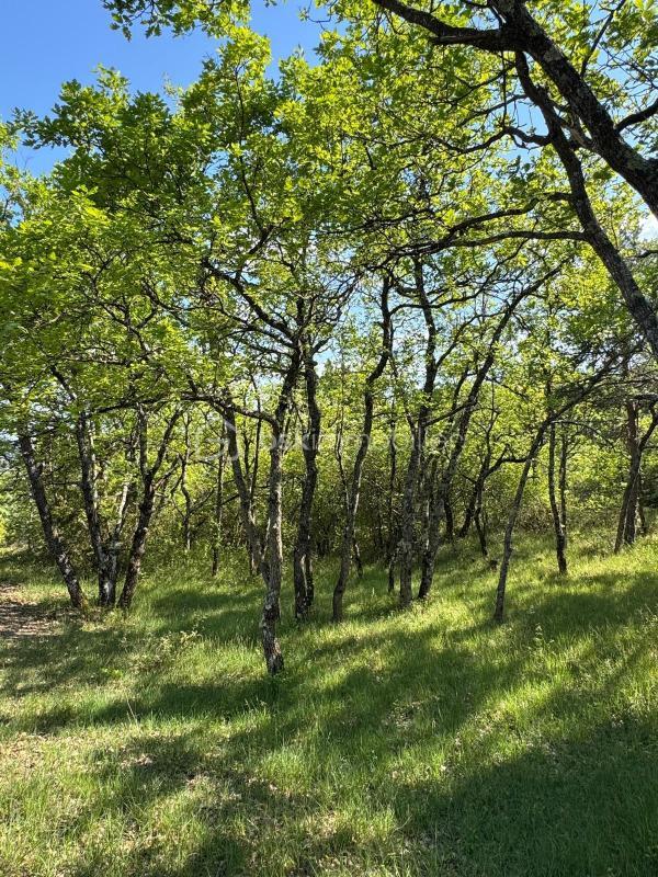 Terrain de loisirs - 8 658 m²