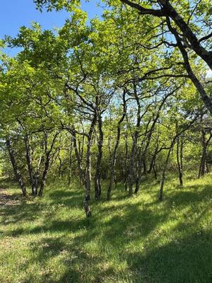 Terrain de loisirs - 8 658 m²