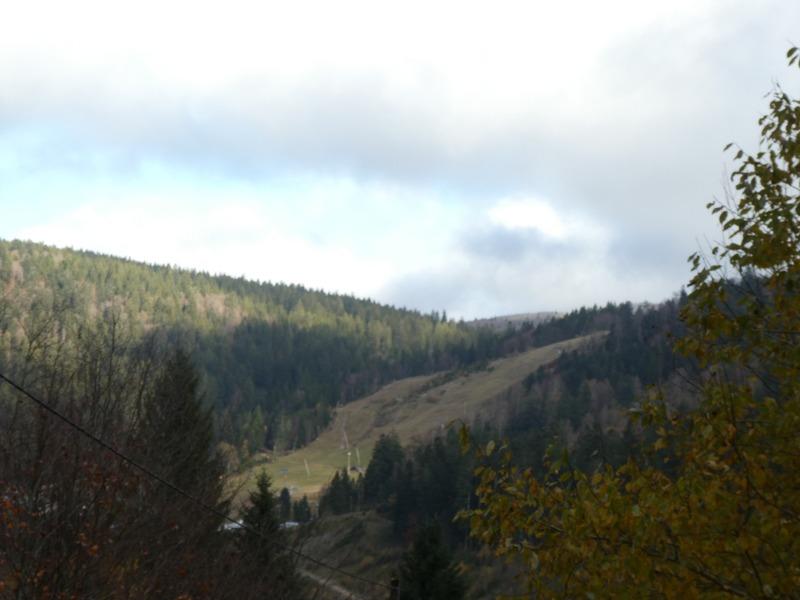 Châlet - 160 m² - 7 pièces