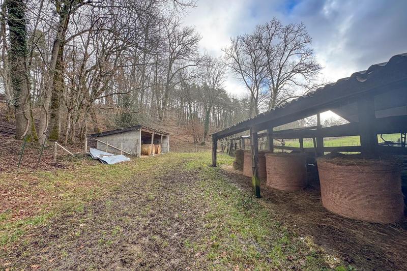 Terrain - 24 000 m²