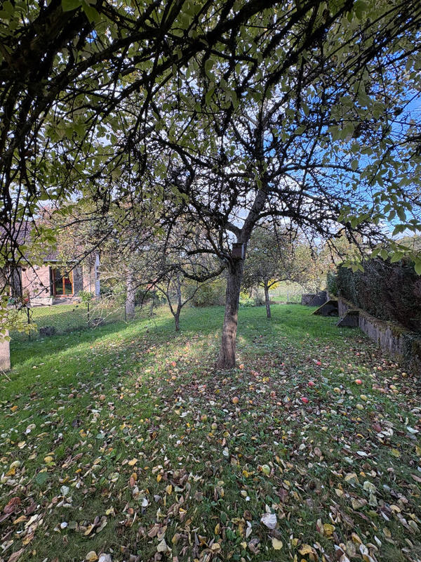 Maison - 113 m² - 6 pièces