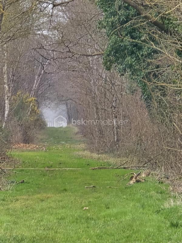 Château - 300 m² - 8 pièces