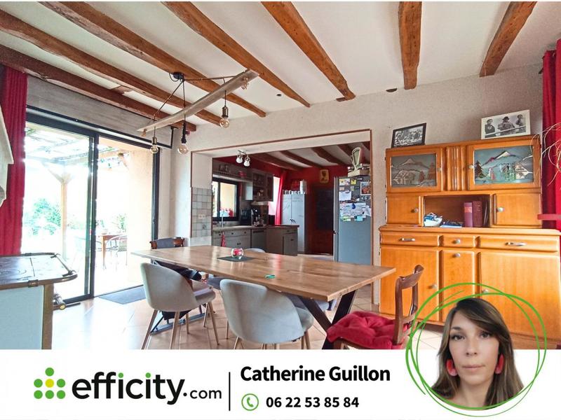 Maison - 229 m² - 7 pièces