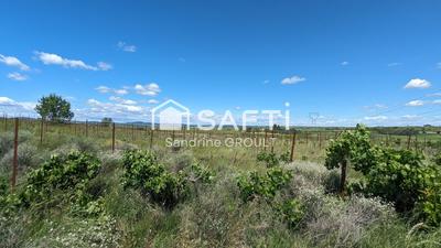 Terrain agricole - 7 477 m²