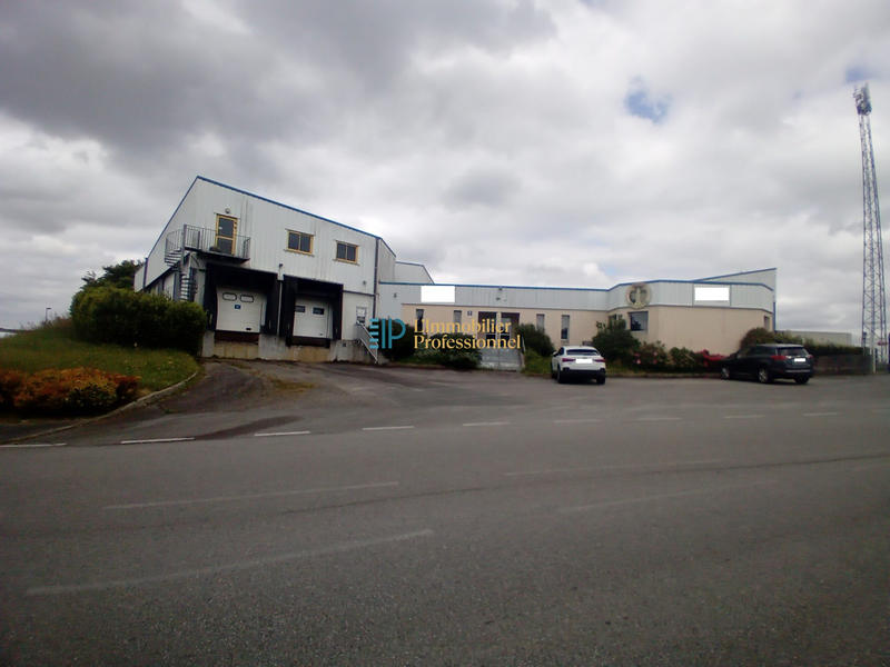 Local d'activités - 2 500 m²