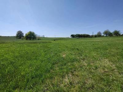 Terrain - 13 561 m²