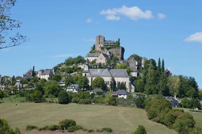 Conférence : la Famille de la Tour d'Auvergne à Turenne de 1450 à 1675