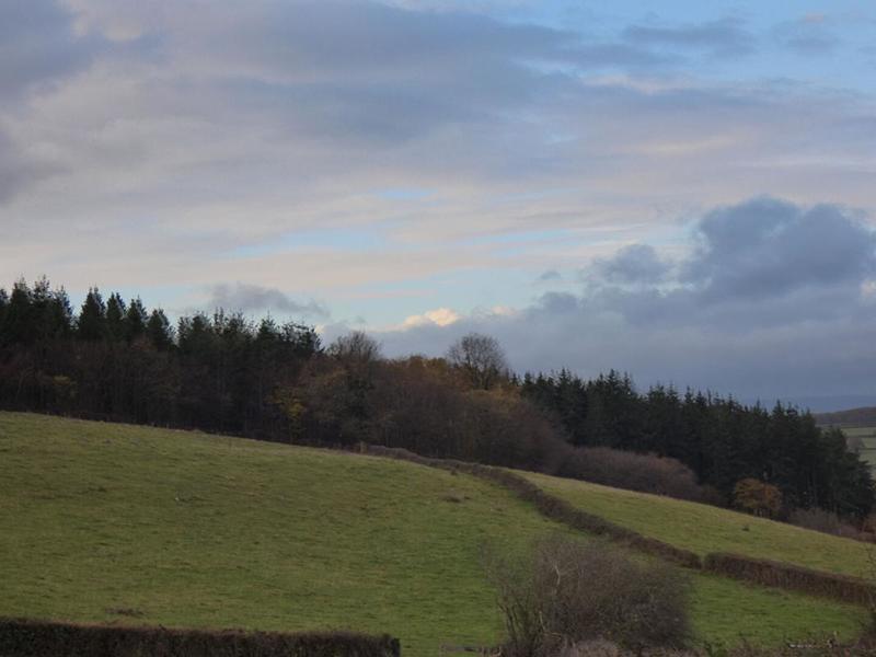 Terrain constructible - 5 630 m²