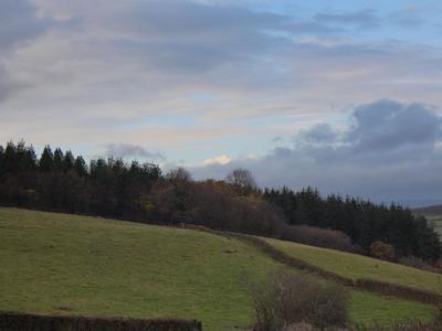 Terrain constructible - 5 630 m²