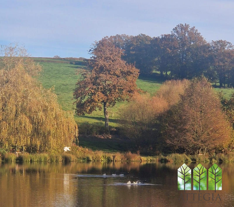 Maison - 220 m² - 7 pièces