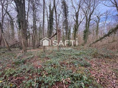 Terrain - 58 000 m²