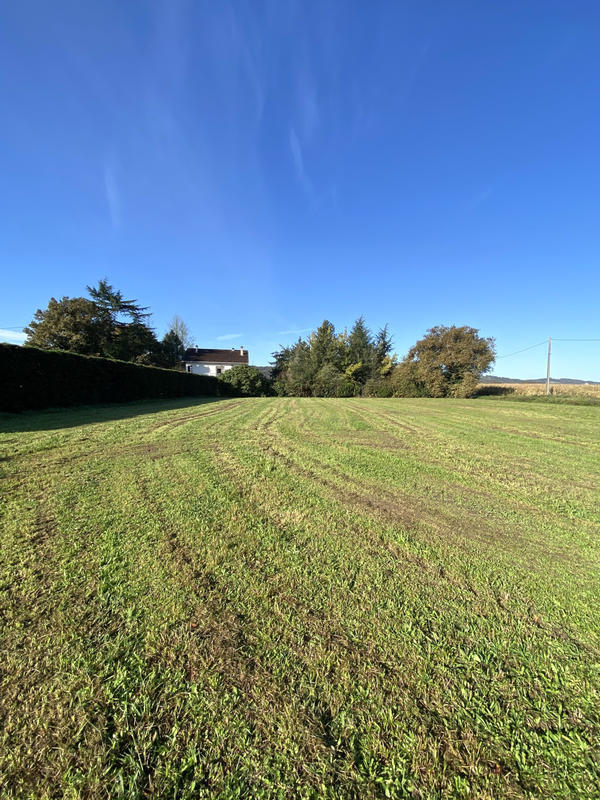 Terrain - 892 m²
