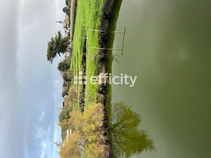 Terrain - 11 140 m²