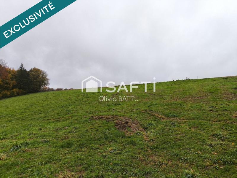 Maison - 290 m² - 1 pièce