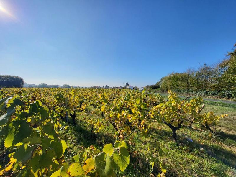 Corps de ferme - 188 m² - 5 pièces