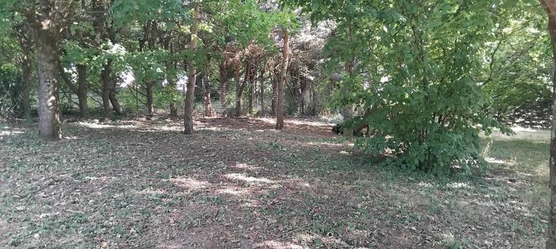 Maison - 219 m² - 8 pièces