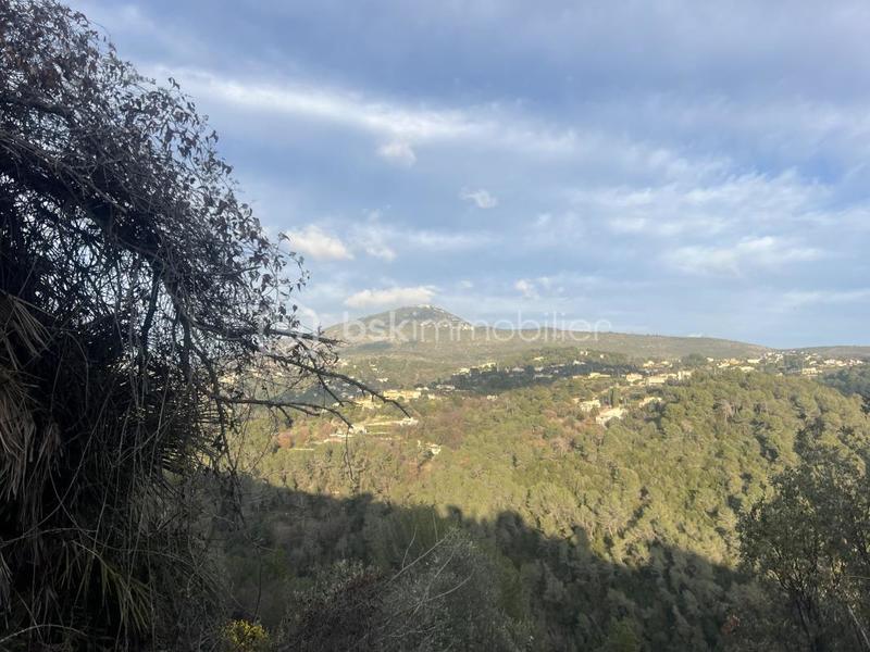 Maison - 499 m² - 6 pièces