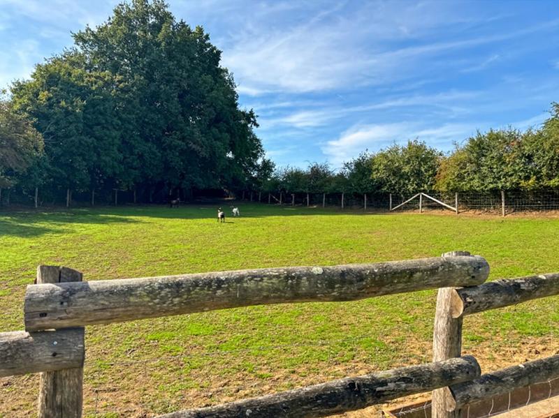 Châlet - 150 m² - 7 pièces