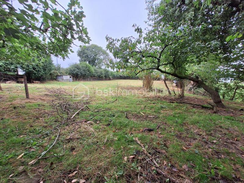 Maison ancienne - 110 m² - 6 pièces