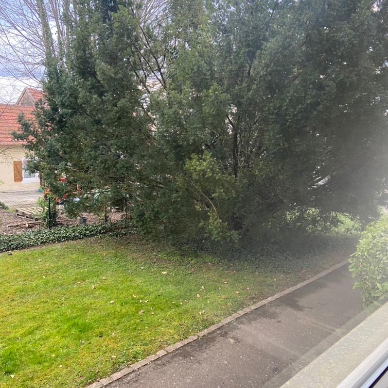 Appartement - 75 m² - 4 pièces