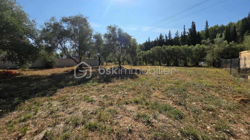 Terrain - 1 345 m²